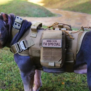 dog tactical harness