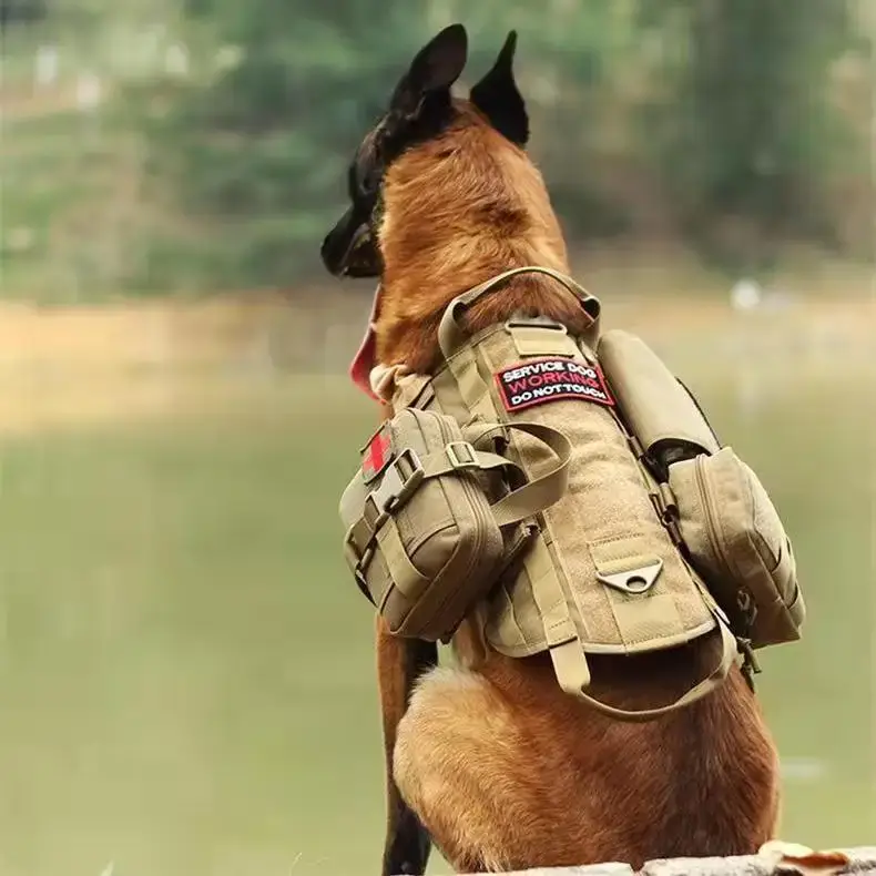 The Top 5 Benefits of Using a Tactical Dog Harness