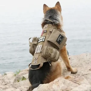 tactical dog harness