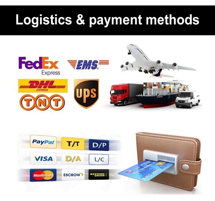 modalità di pagamento e logistica